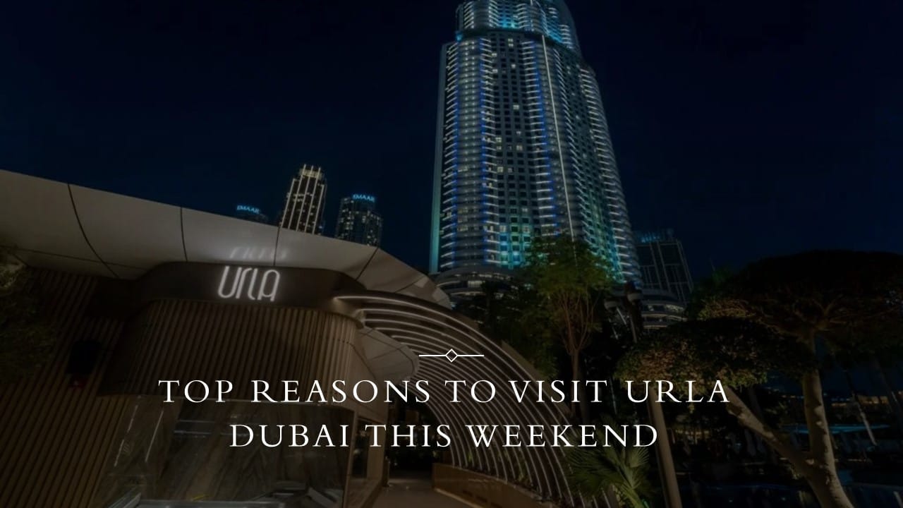 Urla Dubai: Your Ultimate Seafood Restaurant in Dubai