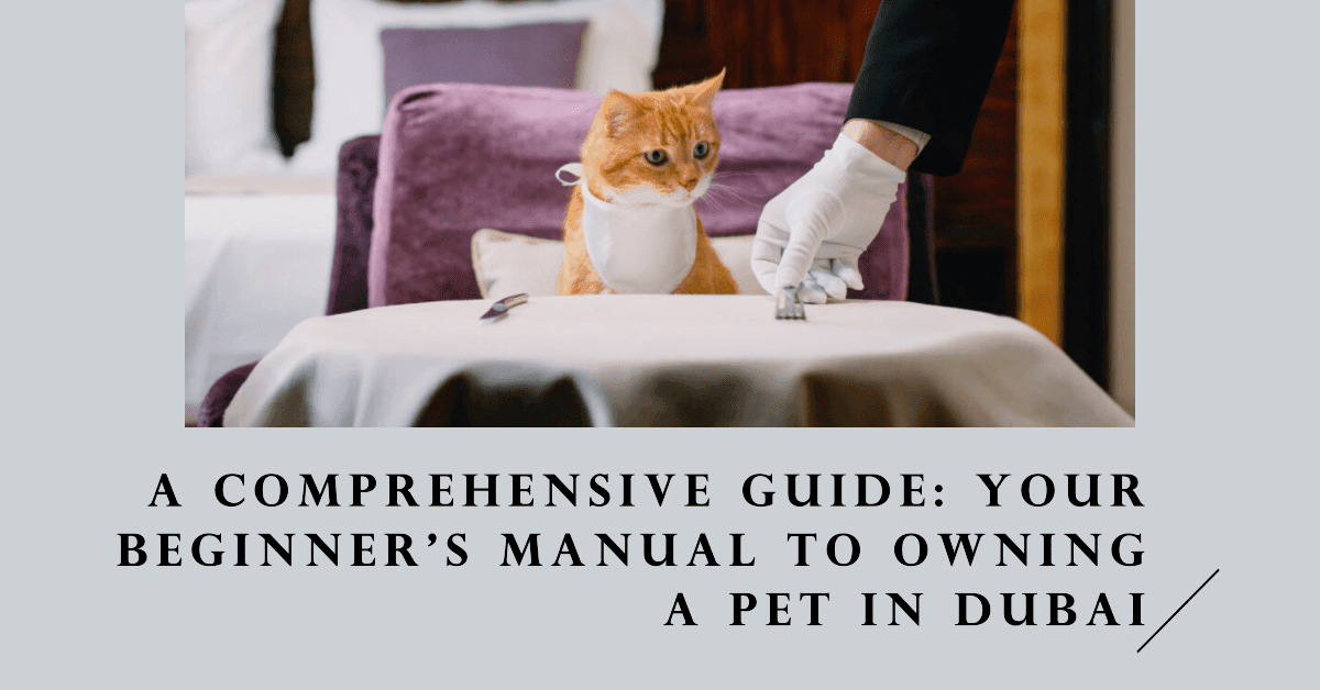 A Comprehensive Guide: Your Beginner’s Manual to Owning a Pet in Dubai