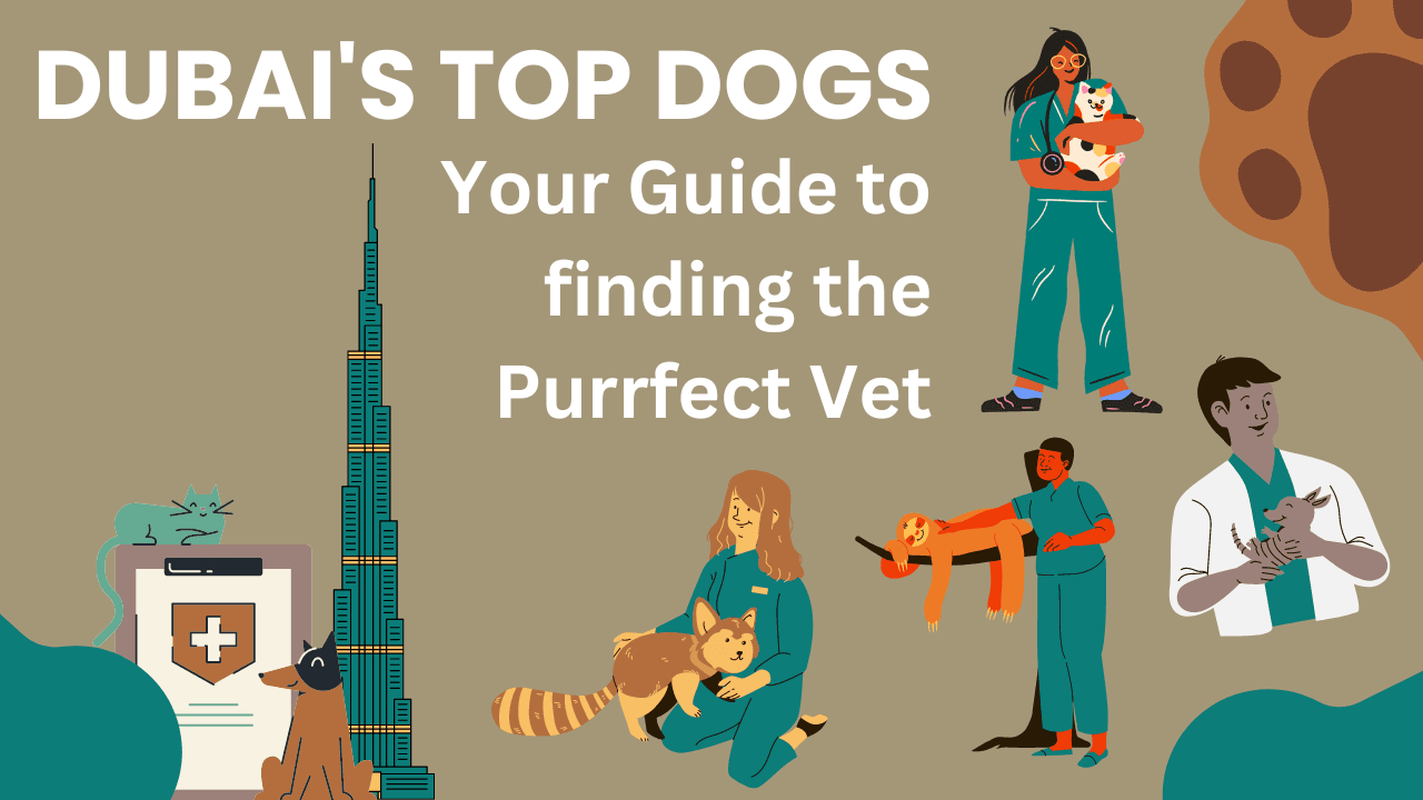 List of Best Vet Clinics in Dubai