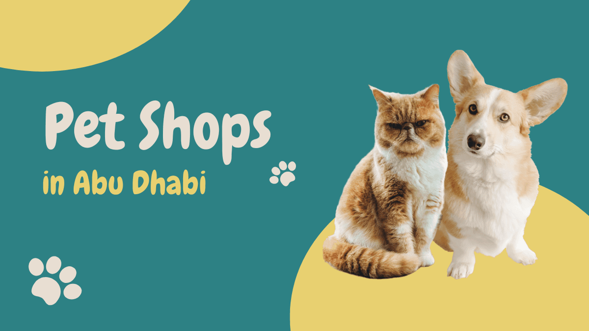The Top 5 Pet Shops in Abu Dhabi