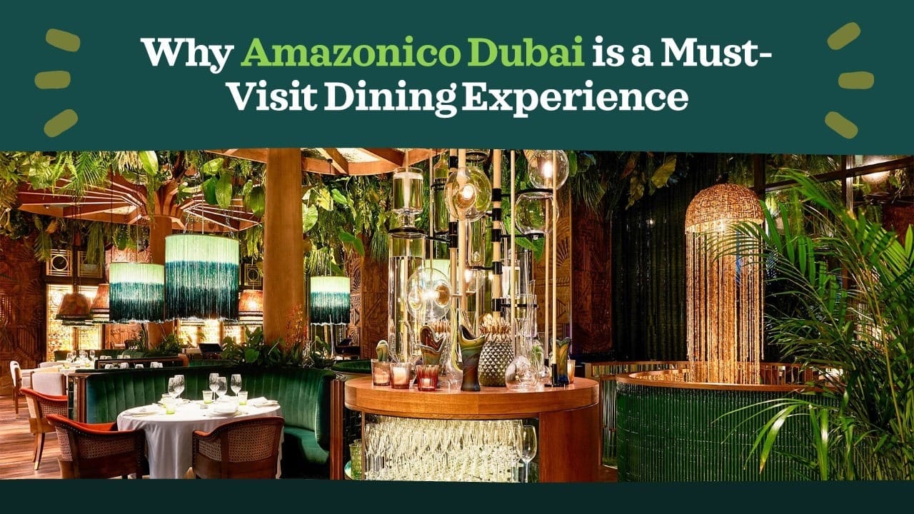 Why Amazonico Dubai is a Must-Visit Dining Experience