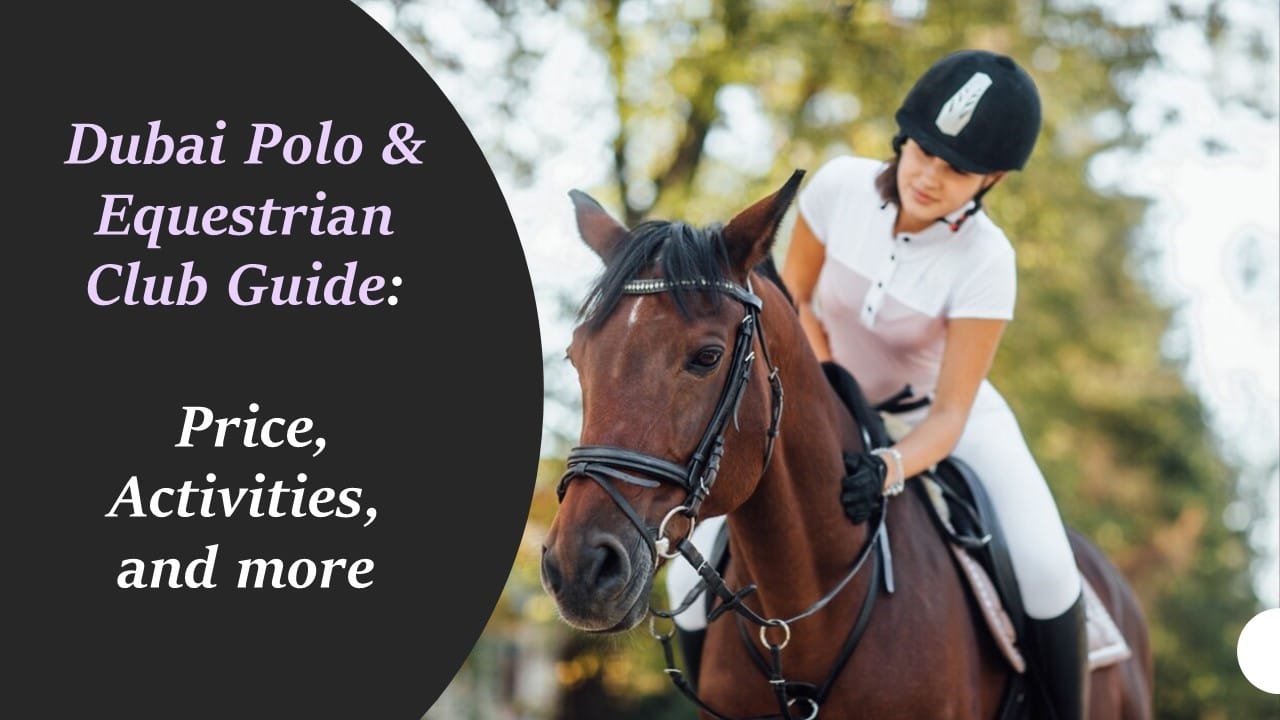 Dubai Polo & Equestrian Club Guide: Price, Activities, and more