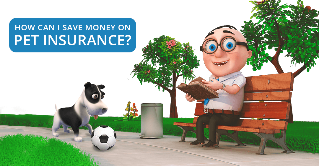 How Can I Save Money On Pet Insurance? How Can I Save Money On Pet Insurance?