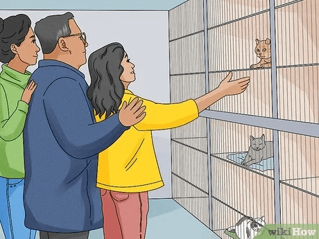 A Teen’s Guide to Convincing Parents and Caring for a Pet in Dubai A Teen’s Guide to Convincing Parents and Caring for a Pet in Dubai