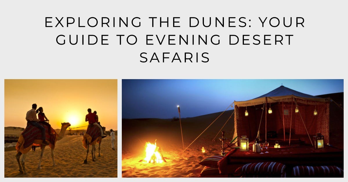 Exploring the Dunes: Your Guide to Evening Desert Safaris