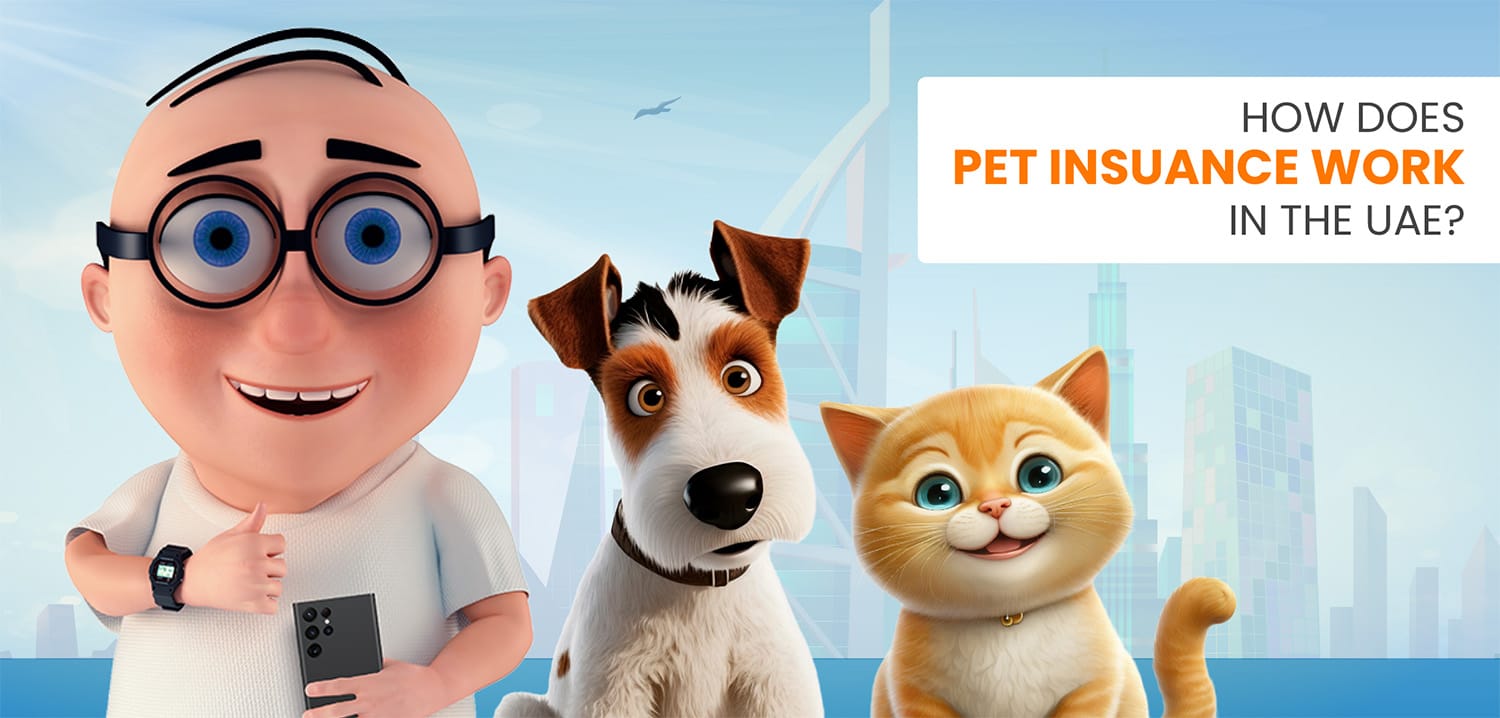 How Does Pet Insurance Work in the UAE? How Does Pet Insurance Work in the UAE?