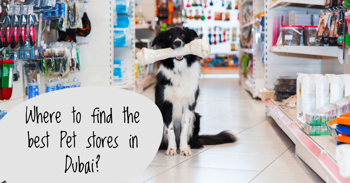 Where to Find the Best Pet Stores in Dubai? Where to Find the Best Pet Stores in Dubai?