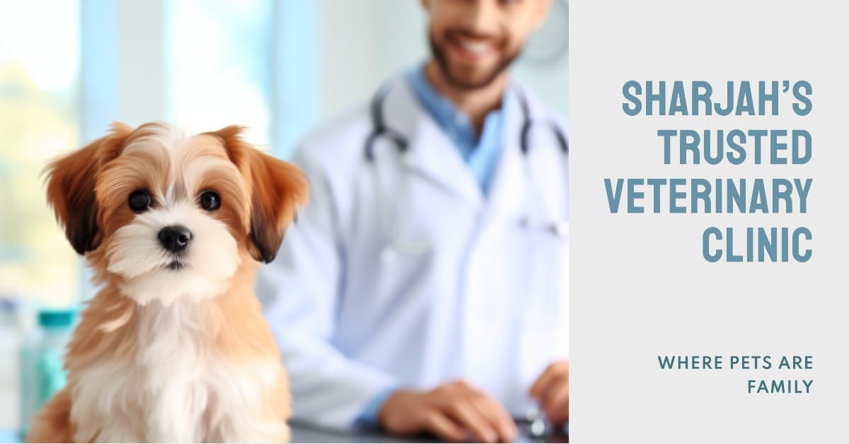 Sharjah’s Trusted Veterinary Clinic: Where Pets Are Family Sharjah’s Trusted Veterinary Clinic: Where Pets Are Family