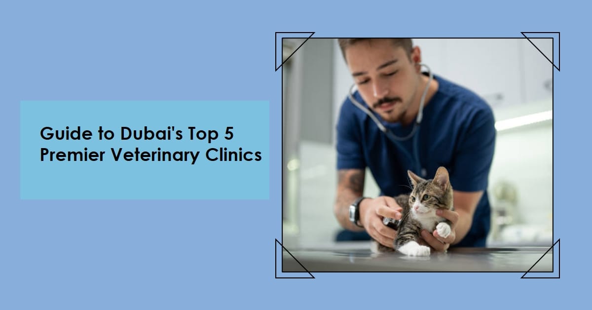 Top 5 Premier Veterinary Clinics In Dubai Top 5 Premier Veterinary Clinics In Dubai