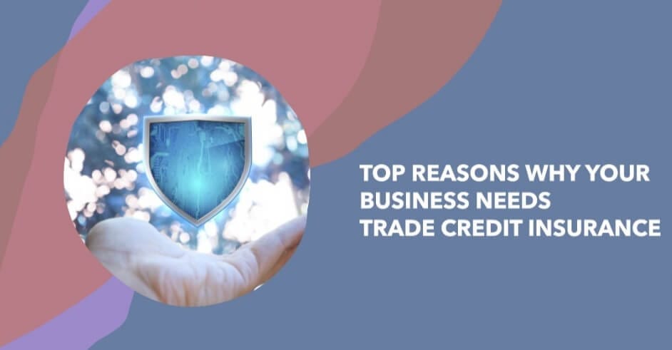 Top Reasons Why Your Business Needs Trade Credit Insurance Top Reasons Why Your Business Needs Trade Credit Insurance