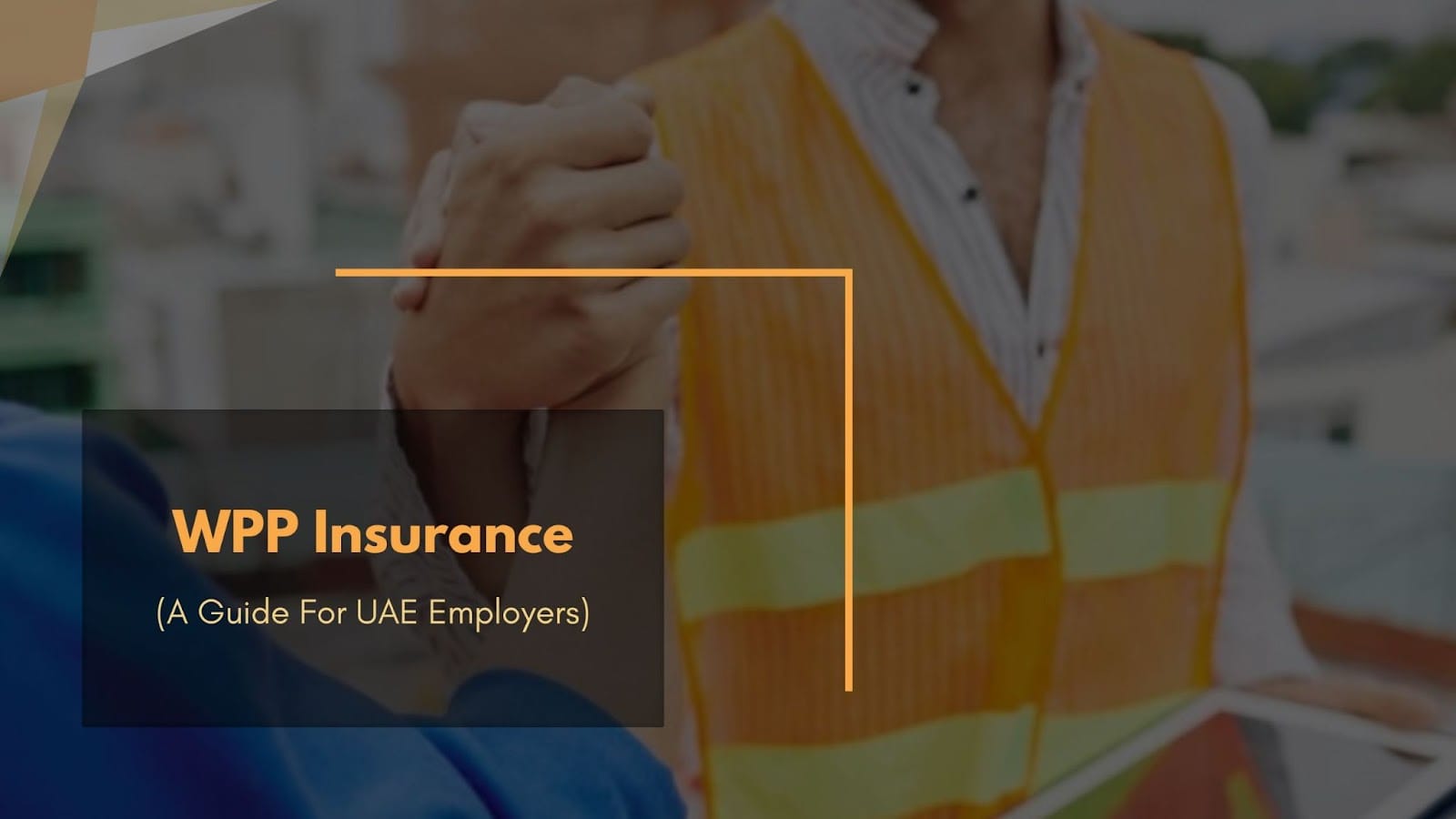 What is WPP Insurance? A Complete Guide for Employers in the UAE What is WPP Insurance? A Complete Guide for Employers in the UAE