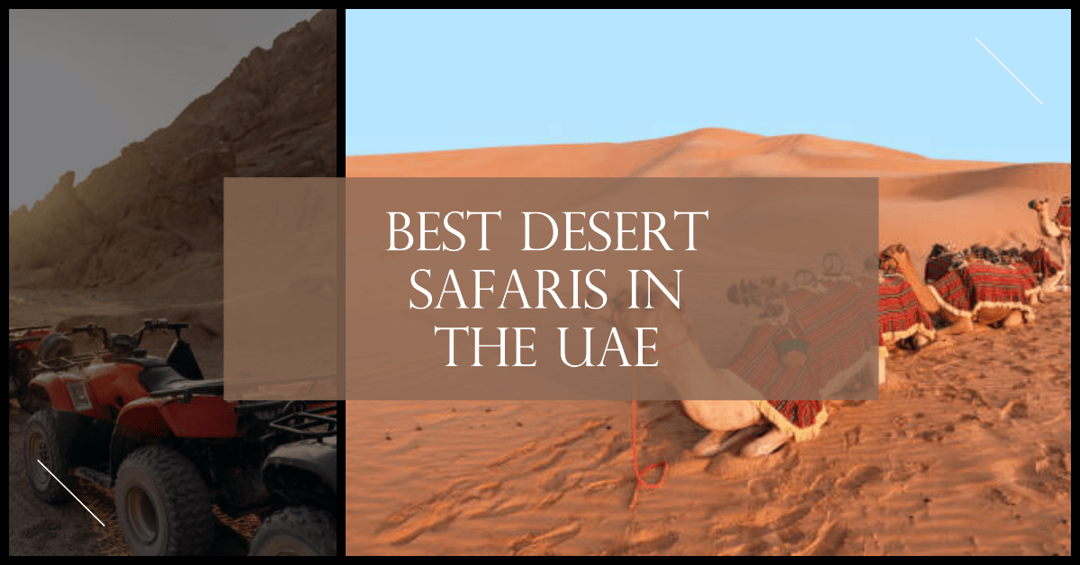 Best Desert Safaris in the UAE