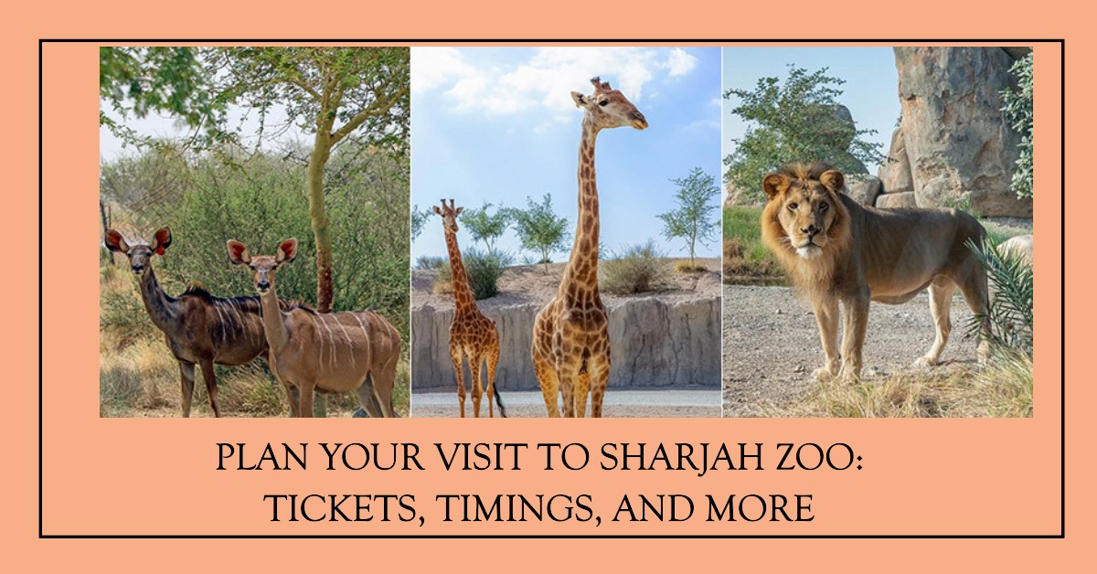 Sharjah Zoo