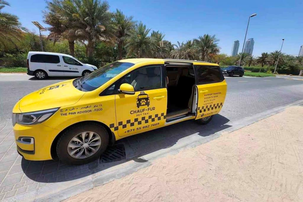 Pet Taxi Dubai
