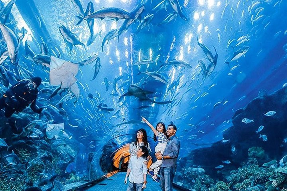 Dubai Aquarium and Underwater Zoo