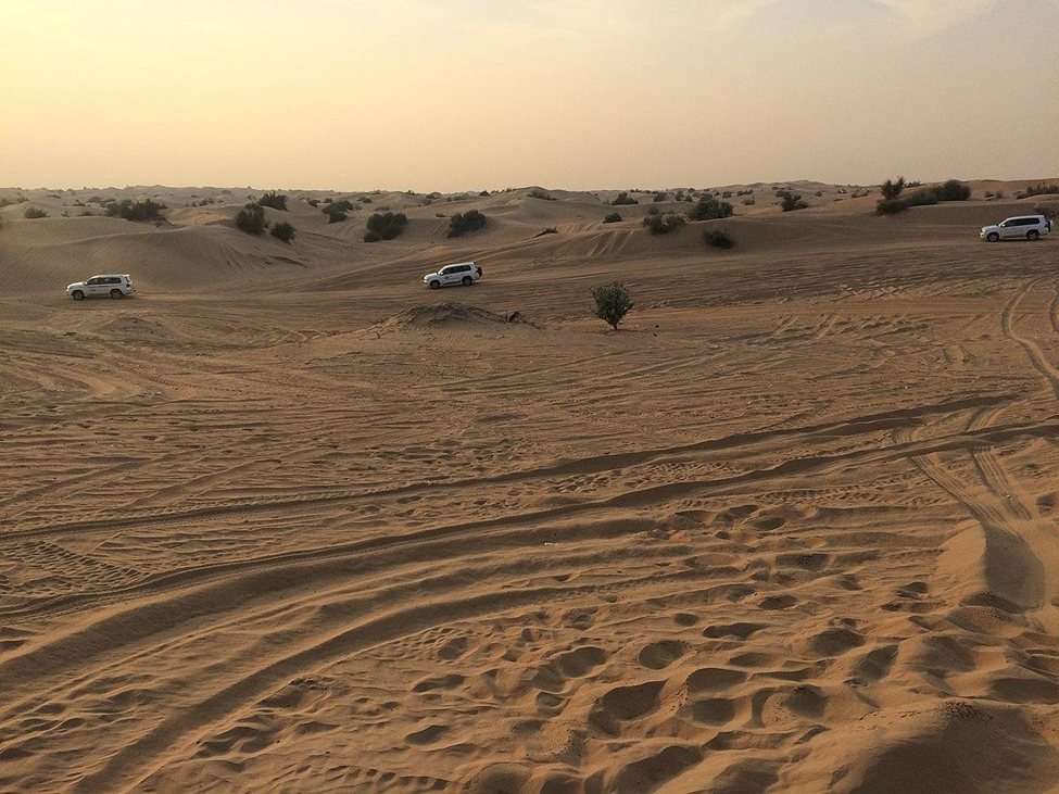 Sharjah Desert Park 