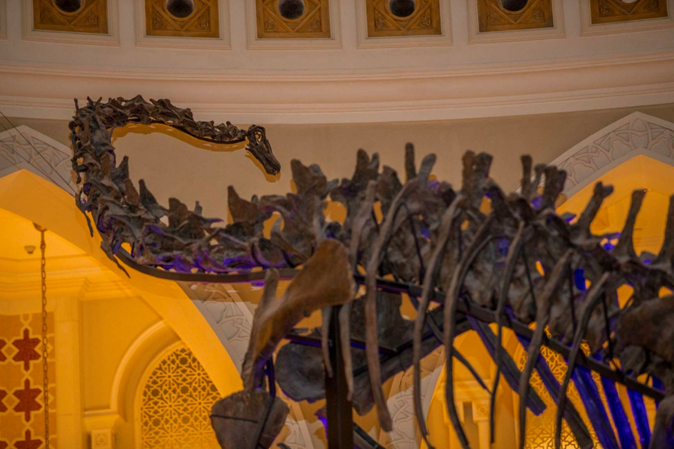 Dubai Dino Exhibit