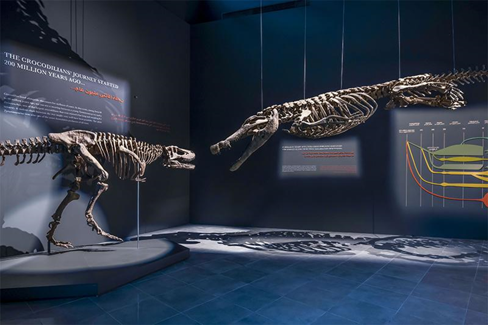 Dubai Crocodile Museum