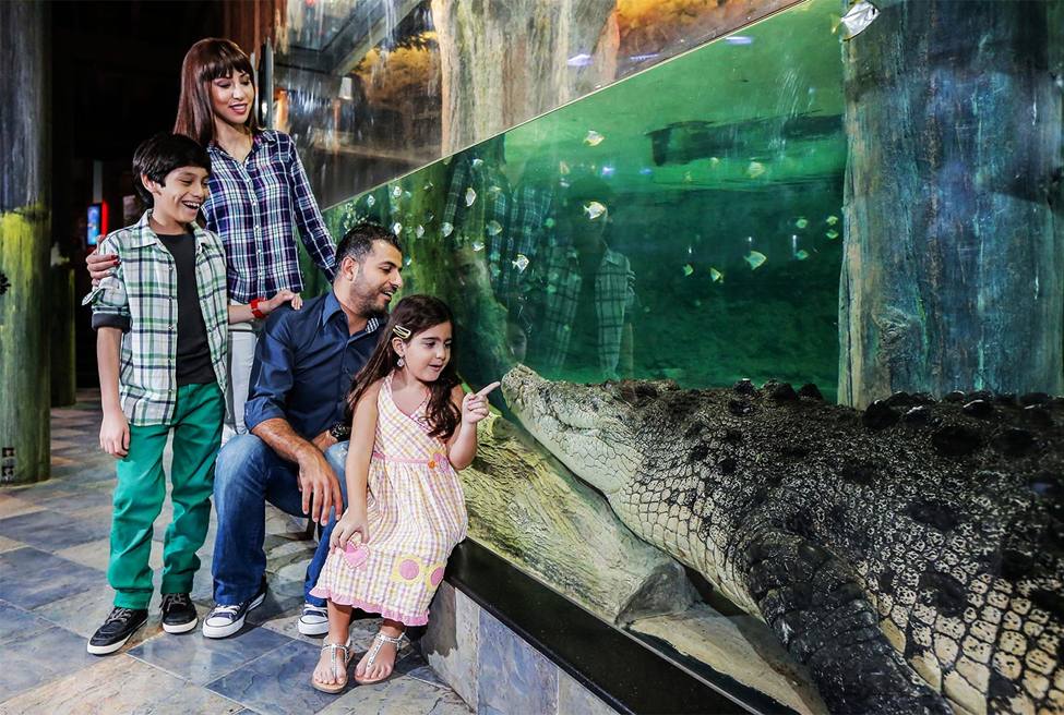 Dubai Crocodile Aquarium
