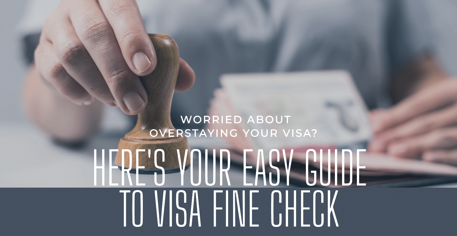 Visa Fine Check