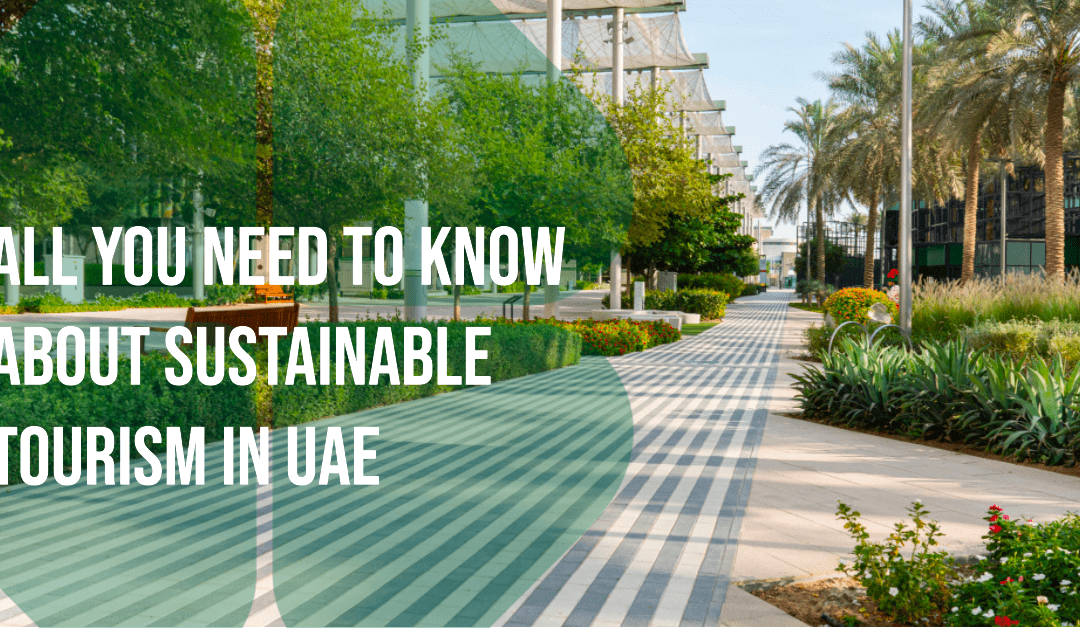 All You Need to Know about Sustainable Tourism in UAE