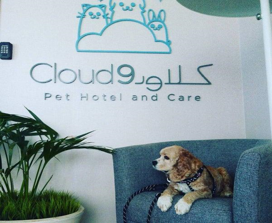 Cloud 9 Pet Hotel