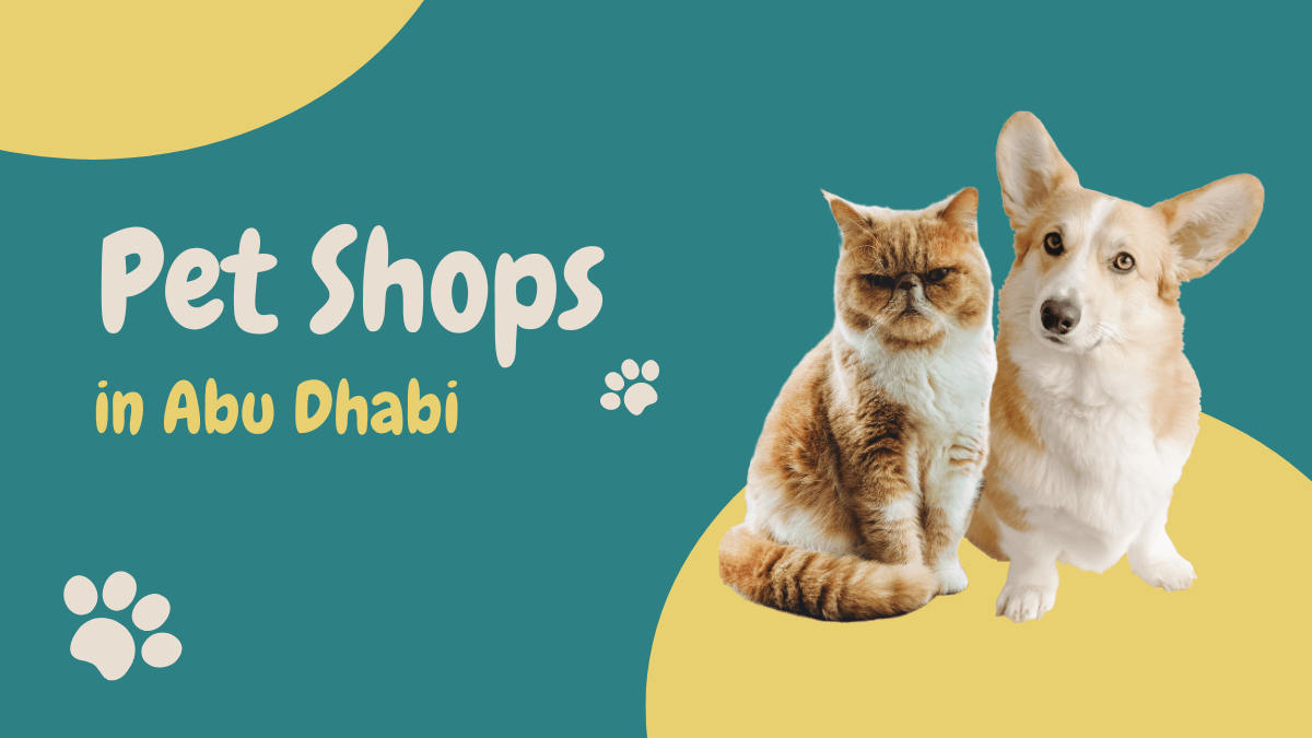pet shops in Abu Dhabi