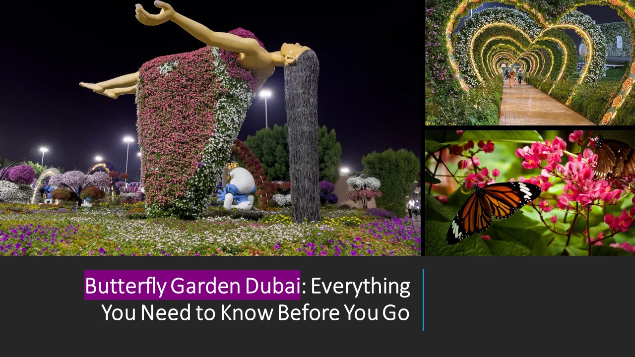 Butterfly Garden Dubai