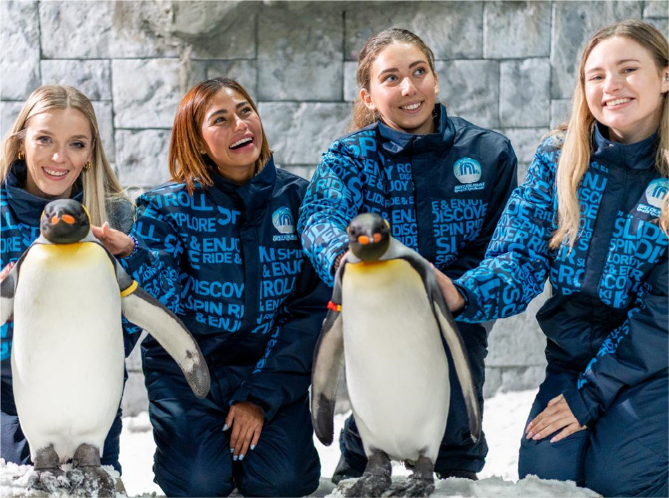 Ski Dubai Penguins Encounter