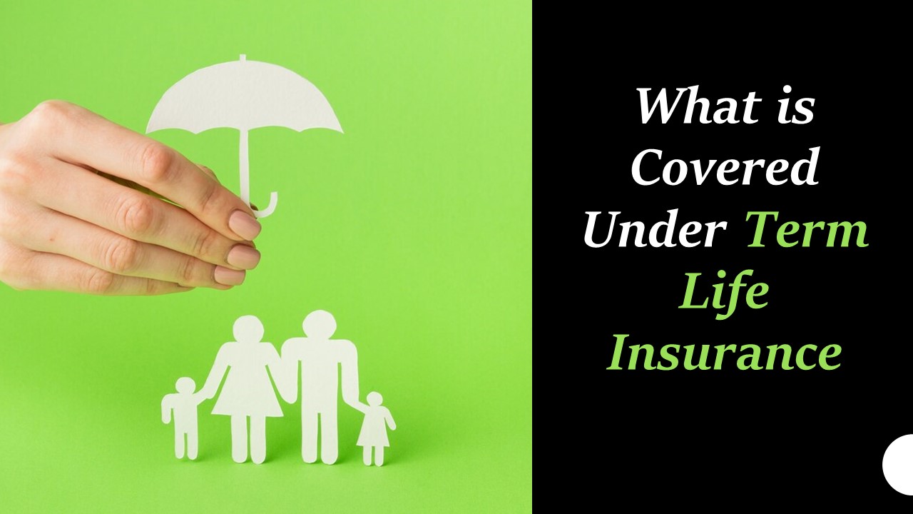 What is Covered Under Term Life Insurance